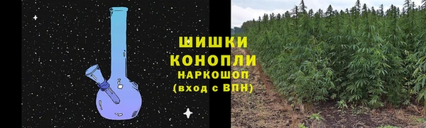 PSILOCYBIN Абдулино